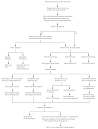 Acute Kidney Injury A Guide To Diagnosis And Management