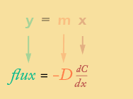 The diffusion coefficient is typically an empirical value and is just measured in experiment and used. The Diffusion Coefficient Is The Slope