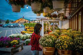 Horrocks market specializes in grocery, garden, greenhouse, produce, organics, deli, beer & wine, floral, wedding. Horrocks Lansing 5 01