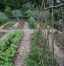 A Garden That Has Not Been Tilled For 30 Years And Its Weedless As Well Vegetable Garden Planning Garden Planning Vegetable Garden Design