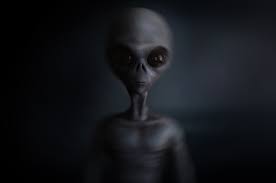 With tom skerritt, sigourney weaver, veronica cartwright, harry dean stanton. What Happens Next If We Find Proof Of Space Aliens