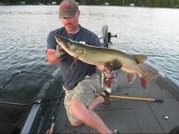 Top Water Musky 2