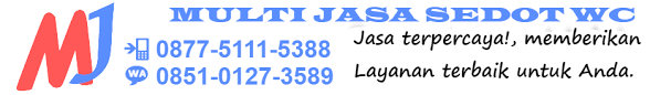 Lumajang adalah kota atau kabupaten yang terletak di provinsi jawa timur pulau jawa. Sedot Wc Tempeh Lumajang Wa 0851 0127 3589 Multijasa Sedotwc Com