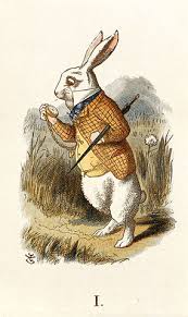 A radio show and podcast about children's books on @resonancefm, hosted by @carolinec1988 @aitchlove @charlieinabook & @samuelsedgman. Don T Go Down The Rabbit Hole Weltanschauung