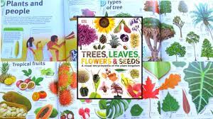 Shop trees, shrubs, bulbs & more. Trees Leaves Flowers And Seeds A Visual Encyclopedia Of The Plant Kingdom By Dk Youtube