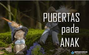 Semua materi soal uts ipa kelas 6 sd dalam blog zona soal ulangan terbaru ini dapat kalian download dengan format pdf. Ciri Ciri Pubertas Pada Anak Sd Kependidikan Com