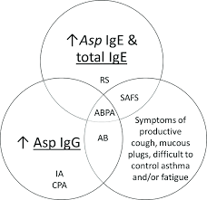 Aspergillosis occurs in chronic or acute forms which are clinically very distinct. Interpretation Of Aspergillus Serology And Clinical Presentation Of Download Scientific Diagram