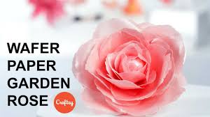 She is accredited tutor and demonstrator for leading uk cake decoration companies such as patchwork cutters and. Wafer Paper Rose Step By Step Cake Decorating Tutorial With Stevi Auble Youtube