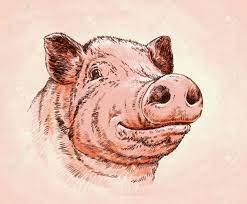 Terrific totally free ink drawing geometric style learning how to draw with tattoo quite different newest pic ink drawing ilustrations thoughts learning the best way to draw along with tattoo ink. Color Brush Painting Ink Draw Isolated Pig Illustration Stock Photo Picture And Royalty Free Image Image 50051490