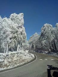 Snow And Ice On Mount Cheaha Photo Credit Lee Bosarge Places To See Scenic Photo