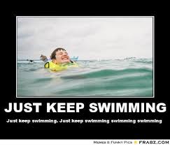 20 just keep swimming memes to motivate you sayingimages com. Funny Swimming Memes