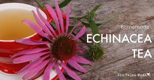 Are there _ oranges in the bag? Homemade Echinacea Tea The Paleo Mama Echinacea Tea Echinacea Paleo Mama