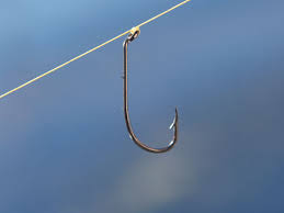 Tying Fishing Knots Fishbrain