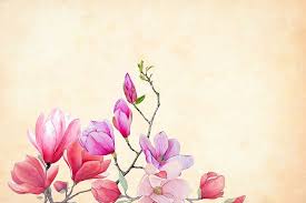 See more ideas about desktop wallpaper, wallpaper, dress your tech. Hd Wallpaper Pink Flowers Over Textures Light Background Watercolor Floral Wallpaper Flare