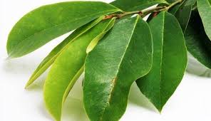 Maybe you would like to learn more about one of these? 7 Manfaat Daun Sirsak Untuk Mengobati Penyakit Berbahaya
