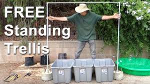 Popular terrariums · free shipping today · popular terrariums How To Make Best Free Standing Trellis Stable Strong Vertical Container Gardening Support Tomato Youtube