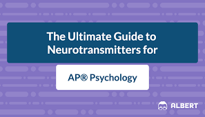 The Ultimate Guide To Neurotransmitters For Ap Psychology