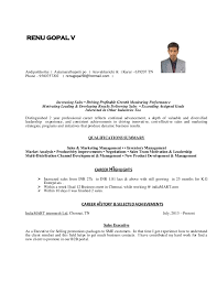 Resume formats with headlines and profiles. Cv For Experienced Person Executive Level