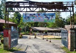 A few of the attractions of note are the yu mountain range, the budai salt fields, the aogu wetlands, the taiping suspension bridge, and the. Things To Do With Family Kids In Taiping Triphobo