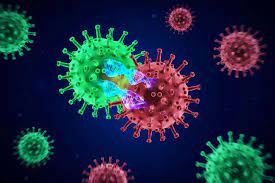 In general, it's the cause of the immunodeficiency that's treated, not the immunodeficiency itself. Coronavirus Le Plasma Convalescent Augmente Le Risque De Mutation