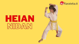 A traditional karate gi is usually white and this is the most widely accepted colour; Heian Nidan 2 Kata Karate Shotokan Youtube