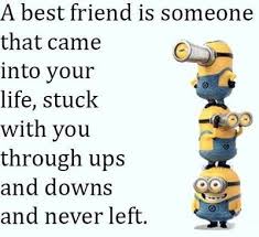 This post will give a treat to your eyes with despicable me minion pictures with quotes, sayings, captions and status. 60 Crazy Funny Friendship Quotes For Cute Friends Explorepic