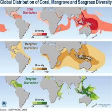 31985720470 0272411a3d O Jpg 550 545 Mangrove Arendal Diversity