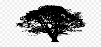 Maybe you would like to learn more about one of these? Oak Tree Silhouette Png Free Transparent Png Clipart Images Download