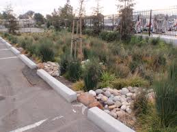 Blue Green Building Parking Lot Runoff Rainwater Harvesting Rainwater Harvesting System Rainwater