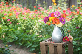 Check spelling or type a new query. Espoma Best Wildflowers For Your Wedding Bouquet Espoma