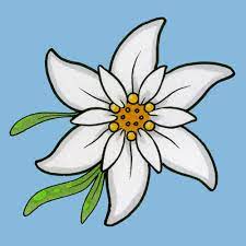 Pin On Desene