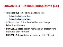Pengenalan kepada biologi dan peraturan makmal. Himpunan Nota Biologi Tingkatan 4 Yang Terhebat Untuk Ibubapa Perolehi Cikgu Ayu