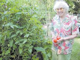 Garden made from straw-bales