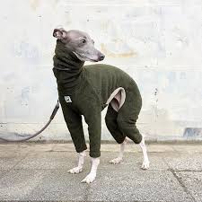 Enjoy free shipping on most stuff, even big stuff. Italian Greyhound Clothing Fleece Jammies Jumpsuit Romper Onesie Dark Green Italian Greyhound Italian Greyhound Clothes Greyhound