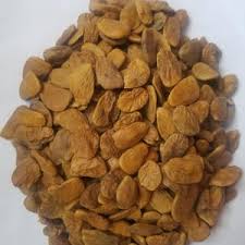 Image result for Picralima nitida