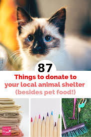 87 Things To Donate To Your Local Animal Shelter Besides Pet Food Animal Shelter Donations Animal Shelter Design Animal Shelter Fundraiser