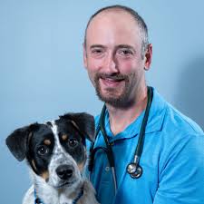 Veterinary Team in Lambertville, MI