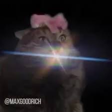 Cat Transcendence Best And New Extended Edition Coub The Biggest Video Meme Platform