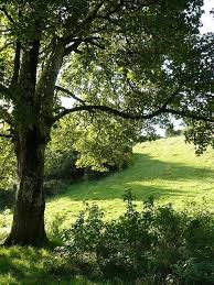 English Countryside Nursing Home Jokes In 2019 Countryside Landscape English Countryside Countryside
