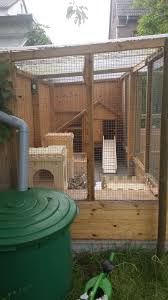 Freilaufgehege Pluschnasen Freilaufgehege Kaninchen Gehege Meerschweinchen Gehege