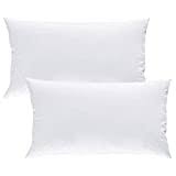 Set x passeggino composto da cuscino e copri piumino in 100% cotone di alta qualità, made in ue misure: á… Migliore Cuscini In Piuma 2021 Classifica Di Consumo