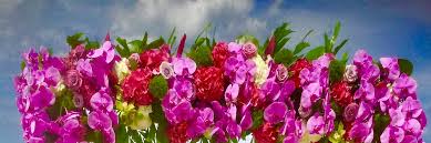 Maybe you would like to learn more about one of these? Vero Beach Florist Flower Delivery By Artistic First Florist