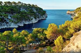Les Calanques Calanque De Port Pin Calanque Photos Paysage Paysage