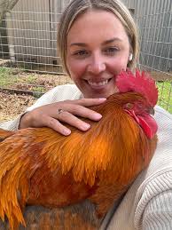 Poultry South Australia