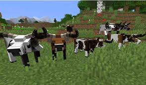 Some of the greatest animal mods in minecraft · more nature · 4) revamped wolf · 3) craftable animals · 2) ice and fire: Genetic Animals Mod Para Minecraft 1 16 3 1 16 4 Y 1 16 5 Minecrafteo