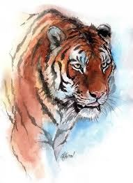 Amur Tiger By Christine Karron Big Cats Art Watercolor Tiger Tiger Painting