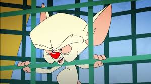 Maybe you would like to learn more about one of these? The True Inspiration Behind The Brain S Voice On Pinky The Brain Revealed