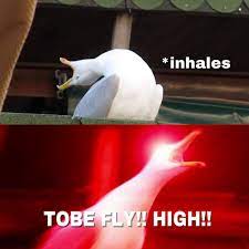 Haikyuu Fans Be Like Funny Relatable Memes Memes Jokes