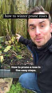How to prune roses in 5 steps , When? Late winter, around the time new  growth starts. , 1:Start with dead wood., Cut any dead wood back to the  base., 2:Open up the center of the plant., Take out ...