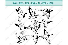From wikimedia commons, the free media repository. Flock Of Birds Svg Vector Flying Ducks Svg Dxf Png Eps 520807 Svgs Design Bundles